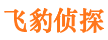 蒙山侦探公司